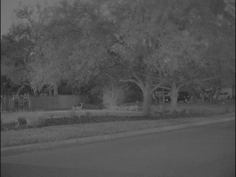 ADNV's Digital Night Vision Technology